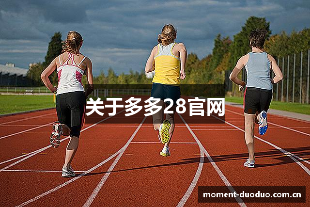 关于多多28官网
